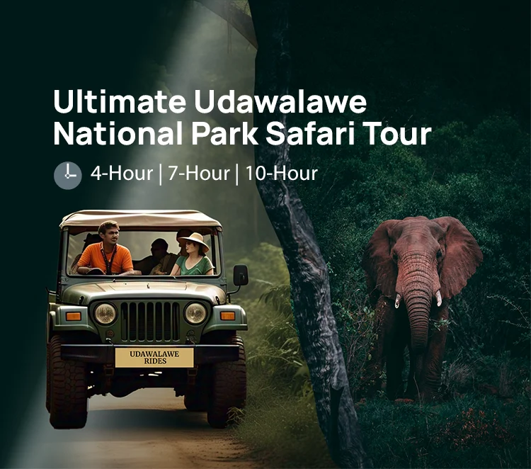 Ultimate Udawalawe National Park Safari Tours