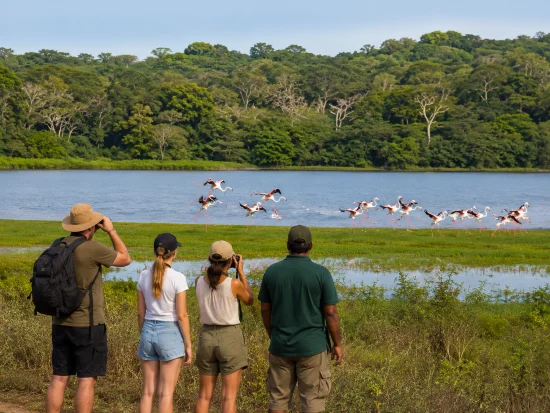 Kalametiya Bird Sanctuary