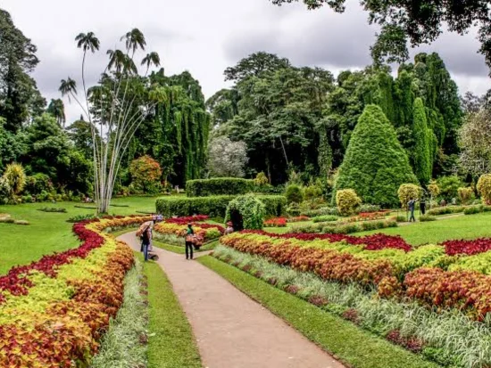 Royal Botanical Gardens, Peradeniya