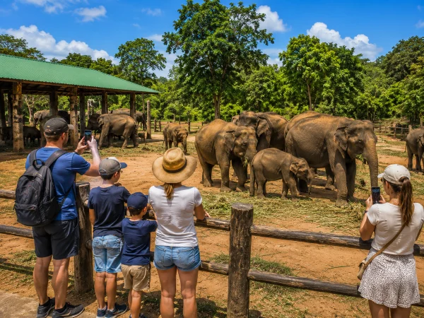 The Elephant Transit Home in Udawalawe