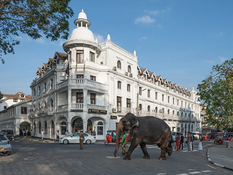 Special Tour Route in Sri Lanka - Udawalawerides.com