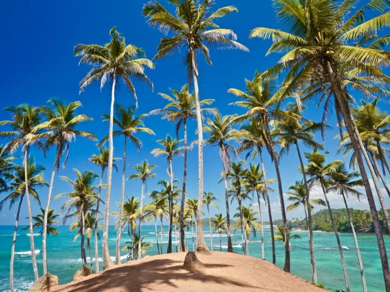 Special Tour Route in Sri Lanka - Udawalawerides.com