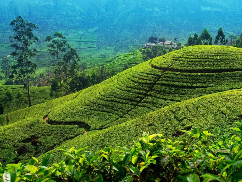 Special Tour Route in Sri Lanka - Udawalawerides.com