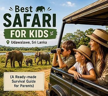 Best safari for kids in Udawalawe Sri Lanka with family jeep safari and elephants