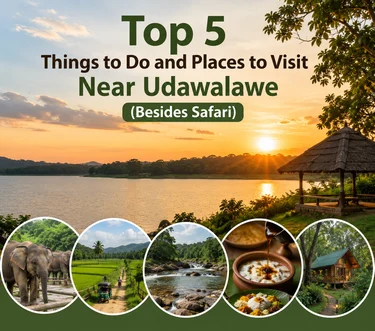 Top 5 things to do and places to visit near Udawalawe besides safari, featuring elephants, sunset views, village life, rivers, local food, and eco lodges.