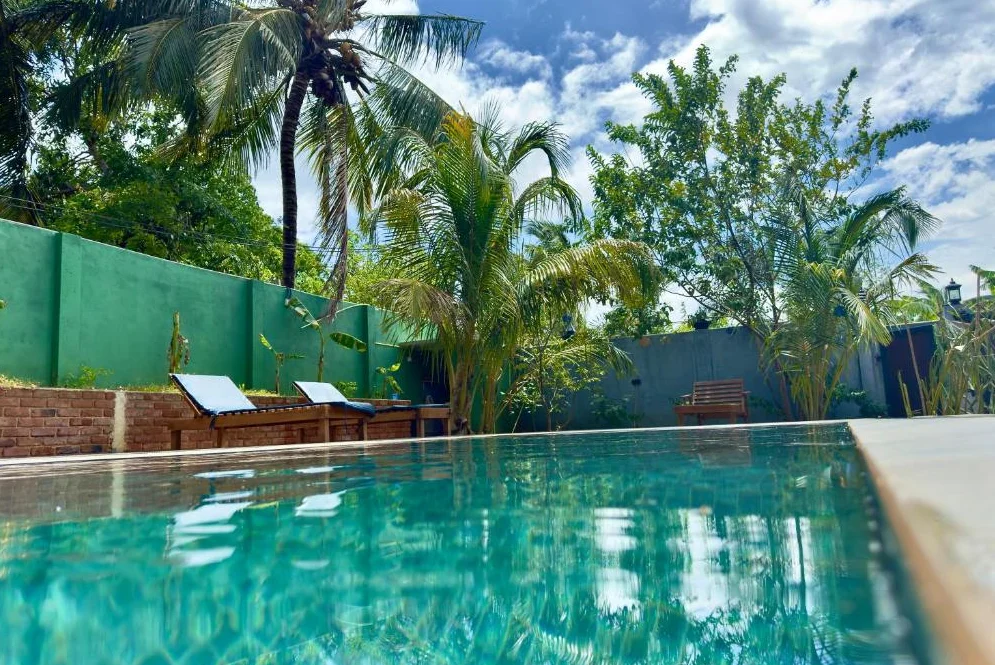 The Top 7 Hotels Near Udawalawe for Every Budget in Sri Lanka - Udawalawerides.com