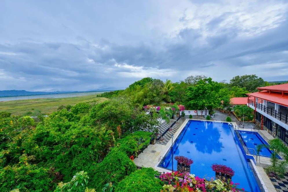 The Top 7 Hotels Near Udawalawe for Every Budget in Sri Lanka - Udawalawerides.com