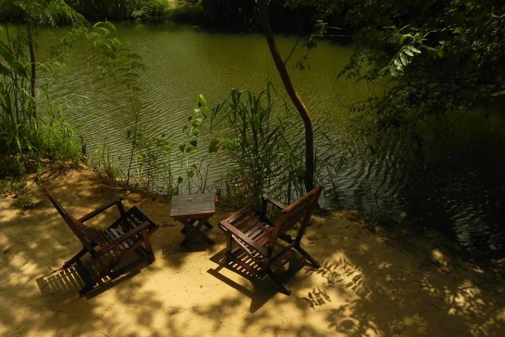 The Top 7 Hotels Near Udawalawe for Every Budget in Sri Lanka - Udawalawerides.com