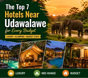 top 7 hotels near Udawalawe