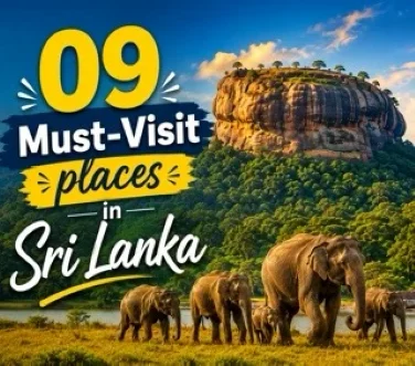 Tourist attractions in Sri Lanka featuring Sigiriya Rock, Ella hills, Udawalawe elephants, Mirissa beach, Galle Fort, and Colombo skyline in a seamless landscape.