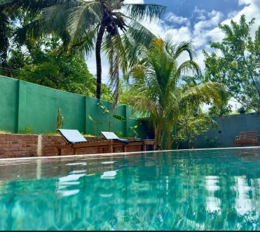 Best Photography Spots in Udawalawe 2026