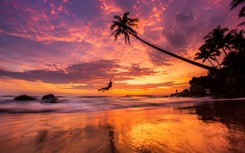 Silhouette of a person on the palm tree rope swing at Dalawella Beach during sunset