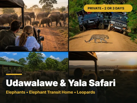 2 or 3 day Sri Lanka safari tour package covering Udawalawe and Yala