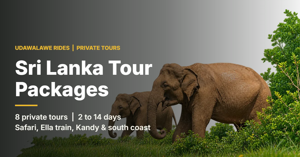 Sri Lanka tour packages by Udawalawe Rides showing wild elephants in Udawalawe National Park